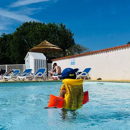 Mobil De Prestige Avec Jacuzzi à Dolus-d'oléron - Api-1-52-1439 Campeggio
