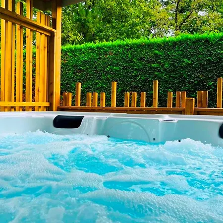 Mobil De Prestige Avec Jacuzzi à Dolus-d'oléron - Api-1-52-1439 Dolus d'Oléron